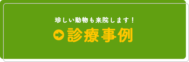 診療事例