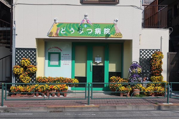 いのかしら公園動物病院